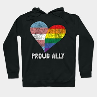 Retro Proud Ally Lesbian Gay Bisexual Trans Pan Queer Lgbtq Hoodie